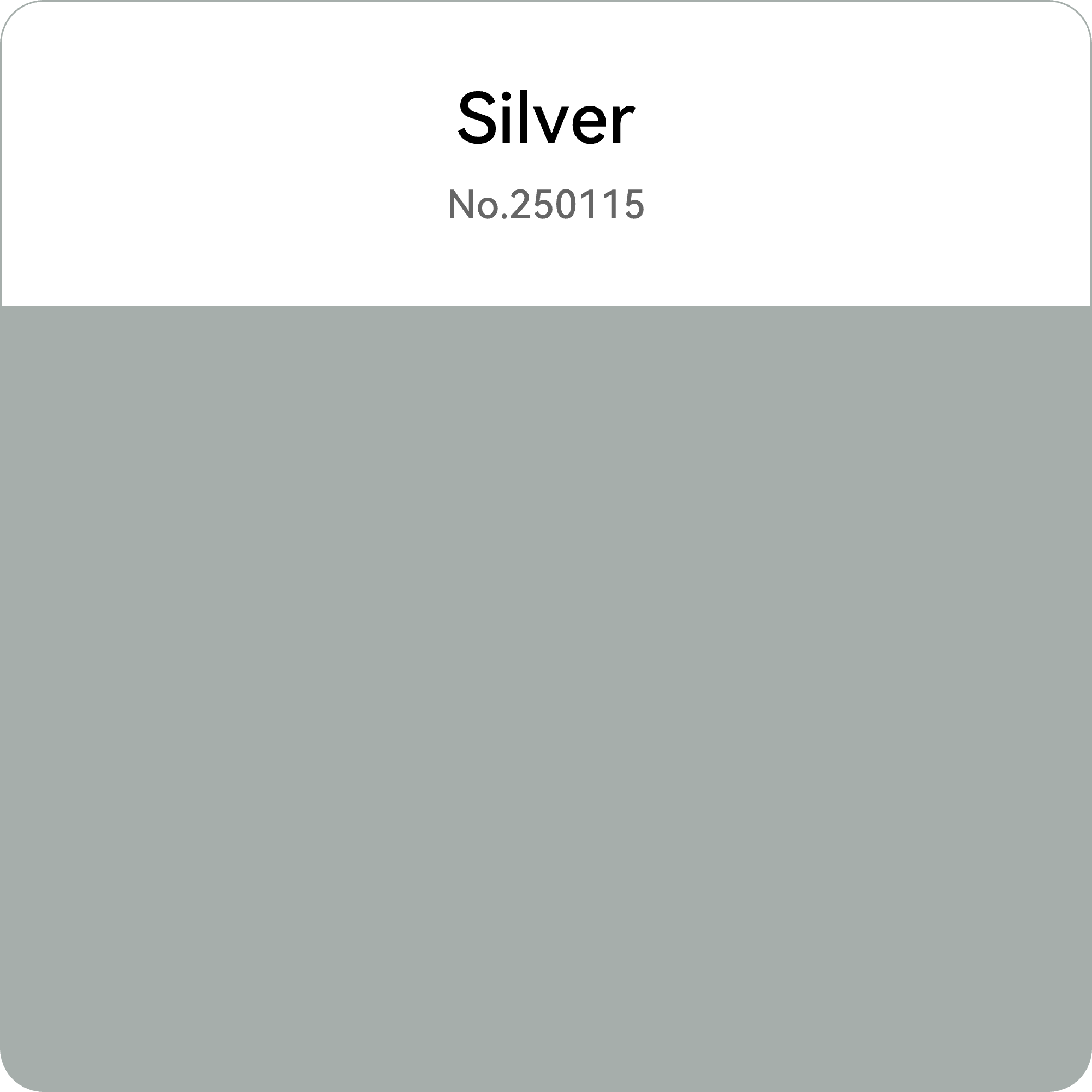HS PETG Silver Flashforge