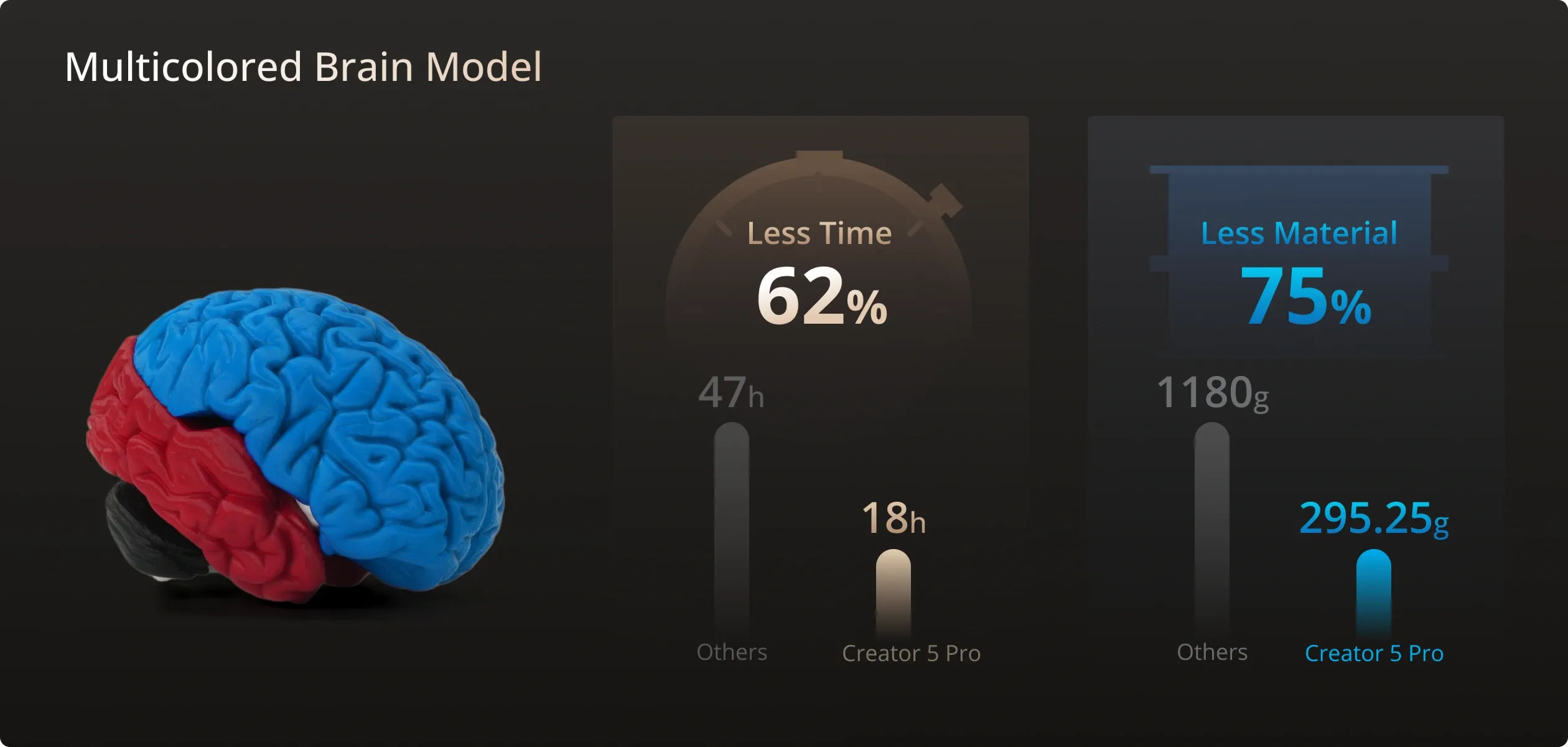 Modèle de cerveau multicolore