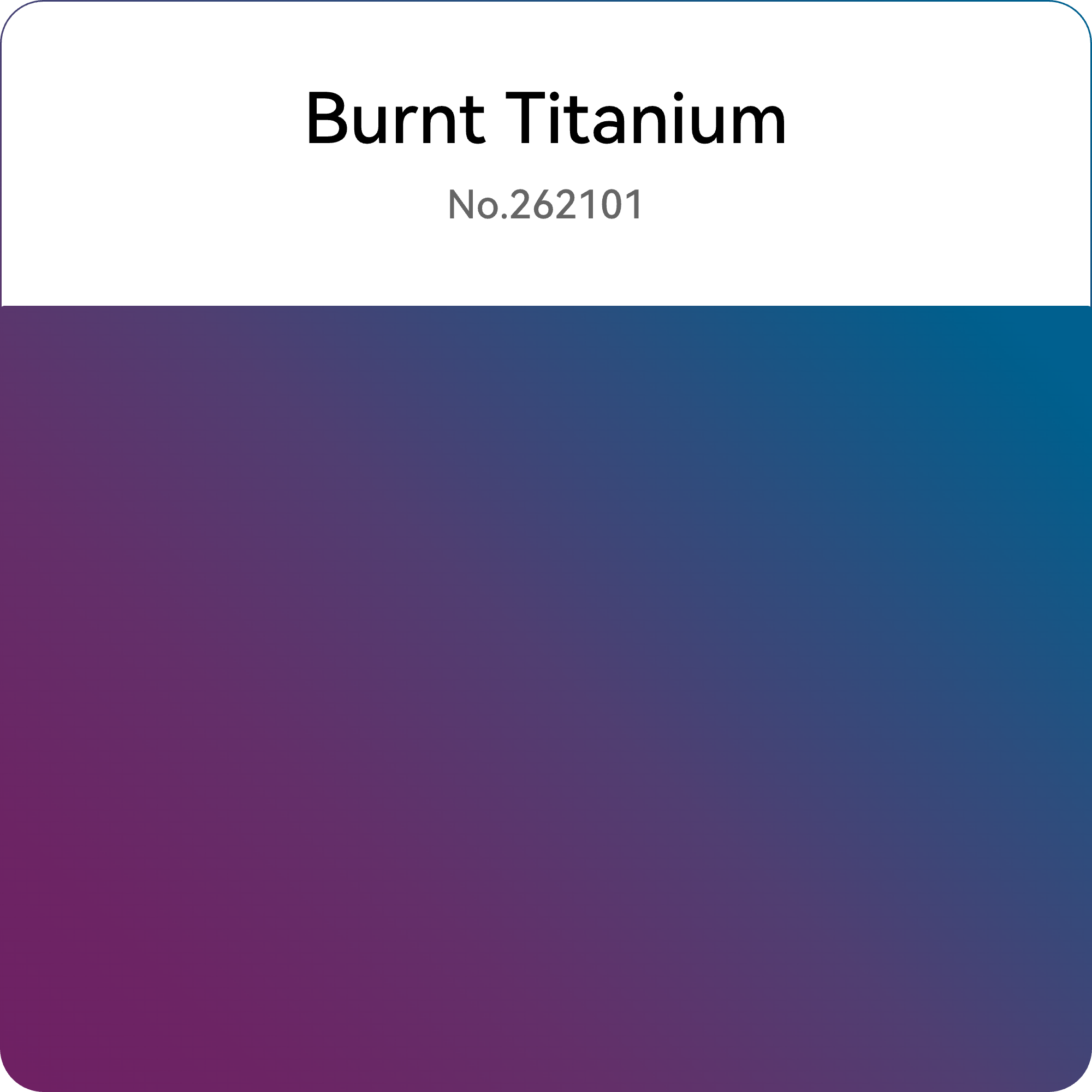 HS PETG Burnt Titanium Flashforge